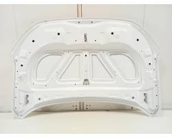 COFANO ANTERIORE DACIA Spring Serie 651002162R 4DB401 (20>)
