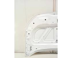 COFANO ANTERIORE DACIA Spring Serie 651002162R 4DB401 (20>)