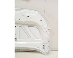 COFANO ANTERIORE DACIA Spring Serie 651002162R 4DB401 (20>)