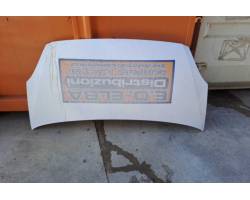 COFANO ANTERIORE IVECO Daily Furgonato F1AE0481F*A (06>13)
