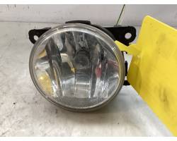 FENDINEBBIA ANTERIORE DX PEUGEOT 208 Serie 9675450980 (12>19)