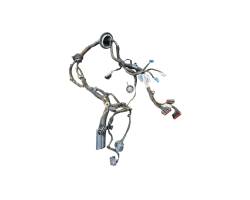 IMPIANTO ELETTRICO (CABLAGGIO) PORTA ANTERIORE SX LAND ROVER Range Rover Evoque Serie K8D2-14631 (18>)
