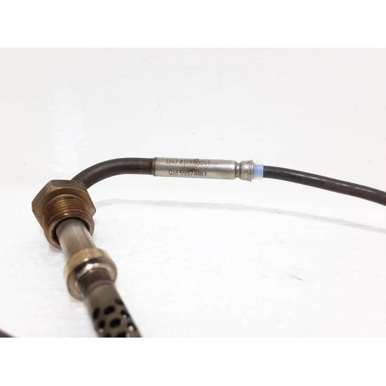 Sensore Temperatura Gas Scarico RIDEX 3938E0173 Per Opel Vivaro B, Mercedes Classe A, Nissan Qashqai E Altri - Foto 2