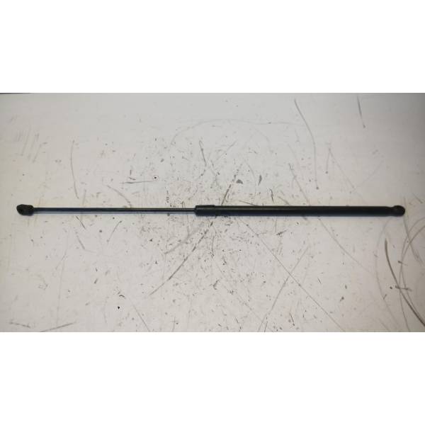 Ammortizatore pneumatico, Cofano bagagli / vano carico RIDEX 219G0392 a un prezzo conveniente