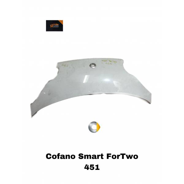 Parafango Anteriore Sinistro Per Smart Fortwo Coupe (451) 2007-2012 - Ricambio Qualità, Pronto Per Verniciatura