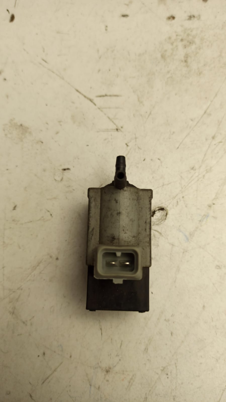 Puleggia Registrabile Albero A Camme Fiat Punto GT - Fiat Uno Turbo 1400 Ultima Serie Per Fasatura Albero A Camme Regolabile - Foto 5