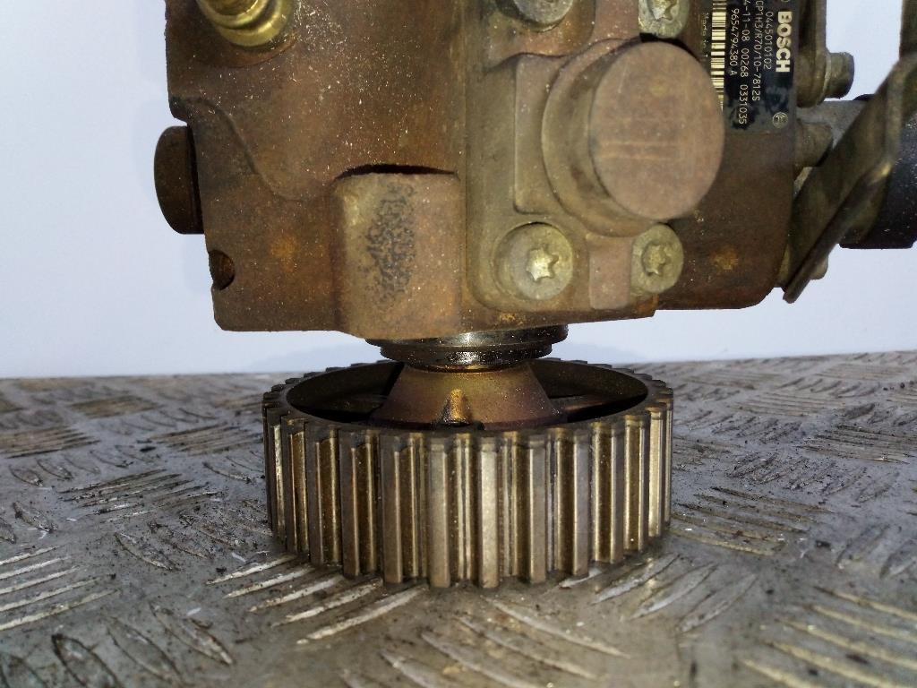 Miniatura 5