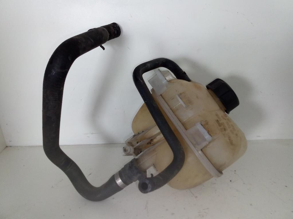 Vaschetta Compensazione Radiatore 1710753926702 Usato