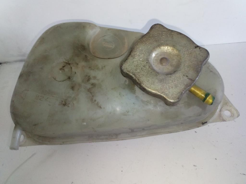 Vaschetta Compensazione Radiatore 82427934 Usato