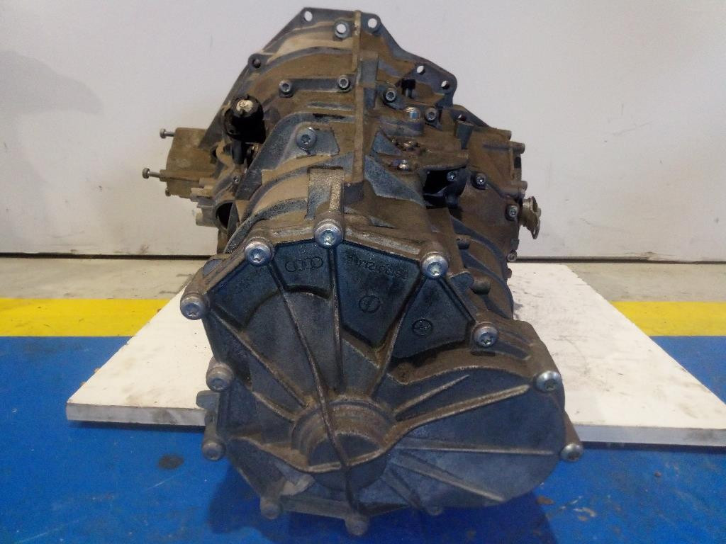 Miniatura 6