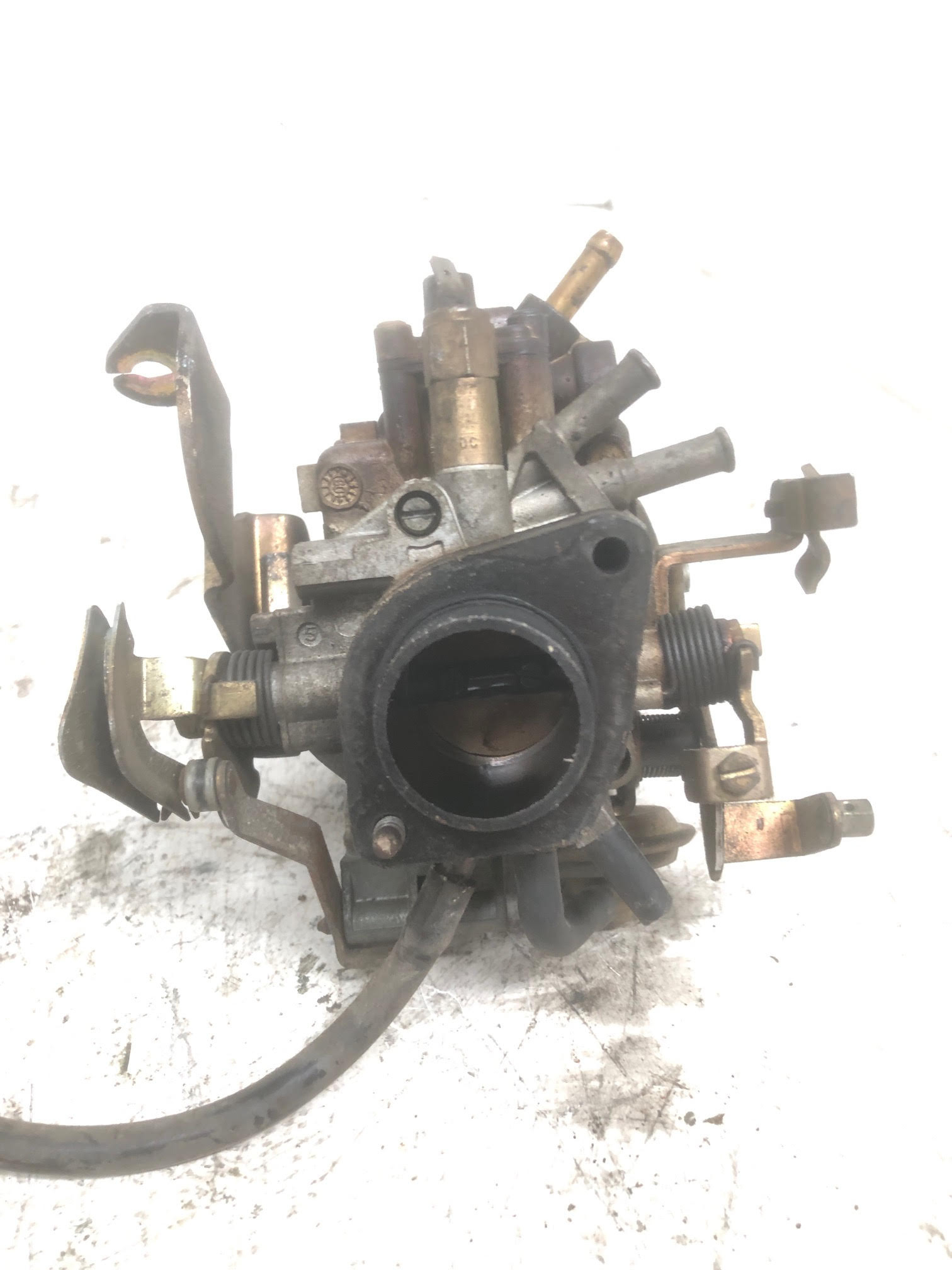Miniatura 6
