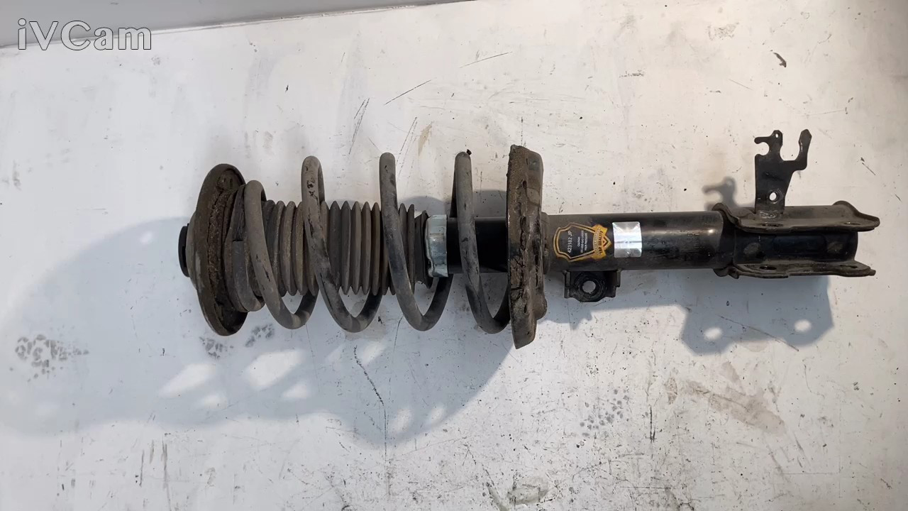 Ammortizzatore Ant. Destro (Fiat) 71752199 Usato