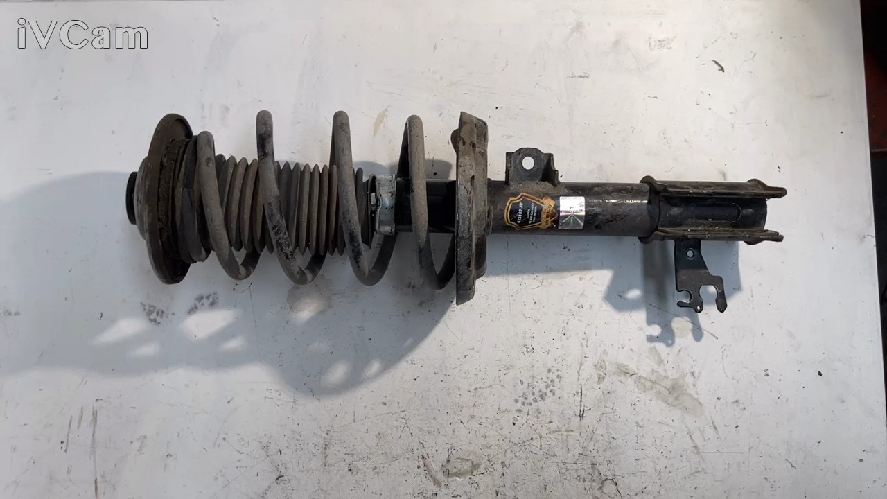 Ammortizzatore Ant. Sinistro (Fiat) 71752199 Usato