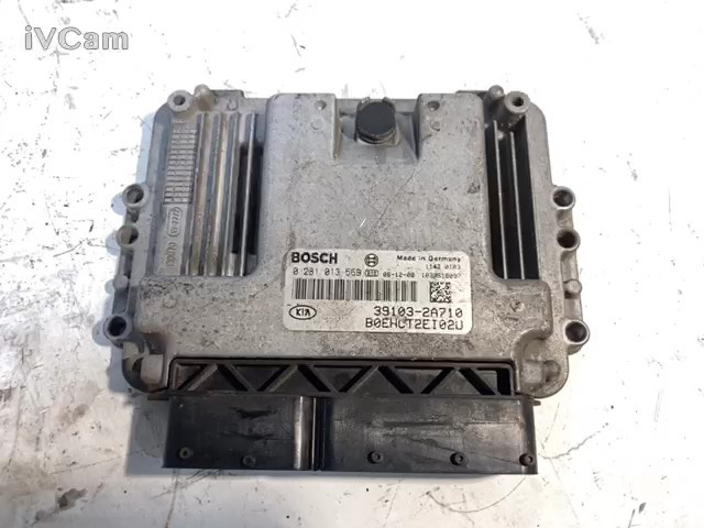 Centralina Iniezione (Kia) 391032A716 Usato