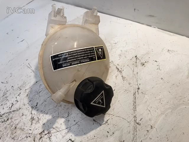 Vaschetta Compensazione Radiatore (Citroen) 9800777280 Usato