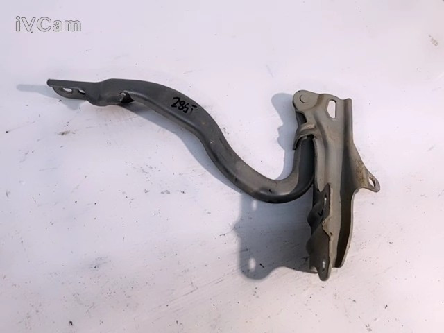 Cerniera Cofano Ant. Sinistro (Fiat) 71742875 Usato