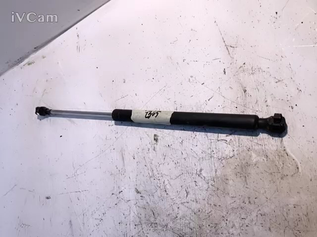 Asta Ammortizzante Portello Post. (Renault) 7700815135 Usato