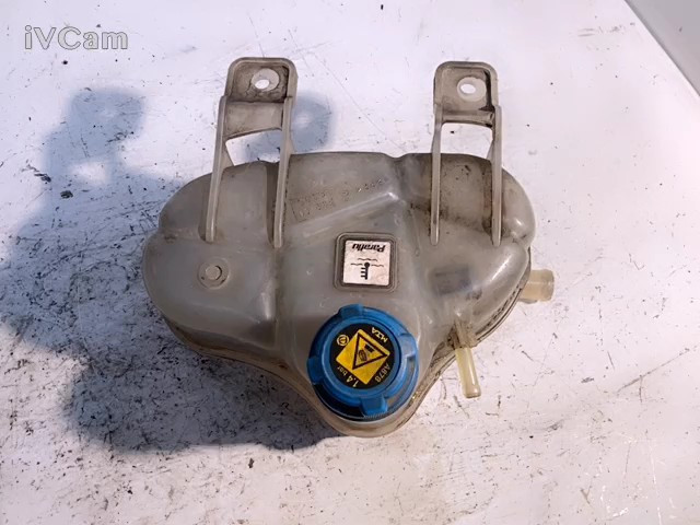 Vaschetta Liquido Radiatore (Fiat) 55700508 Usato