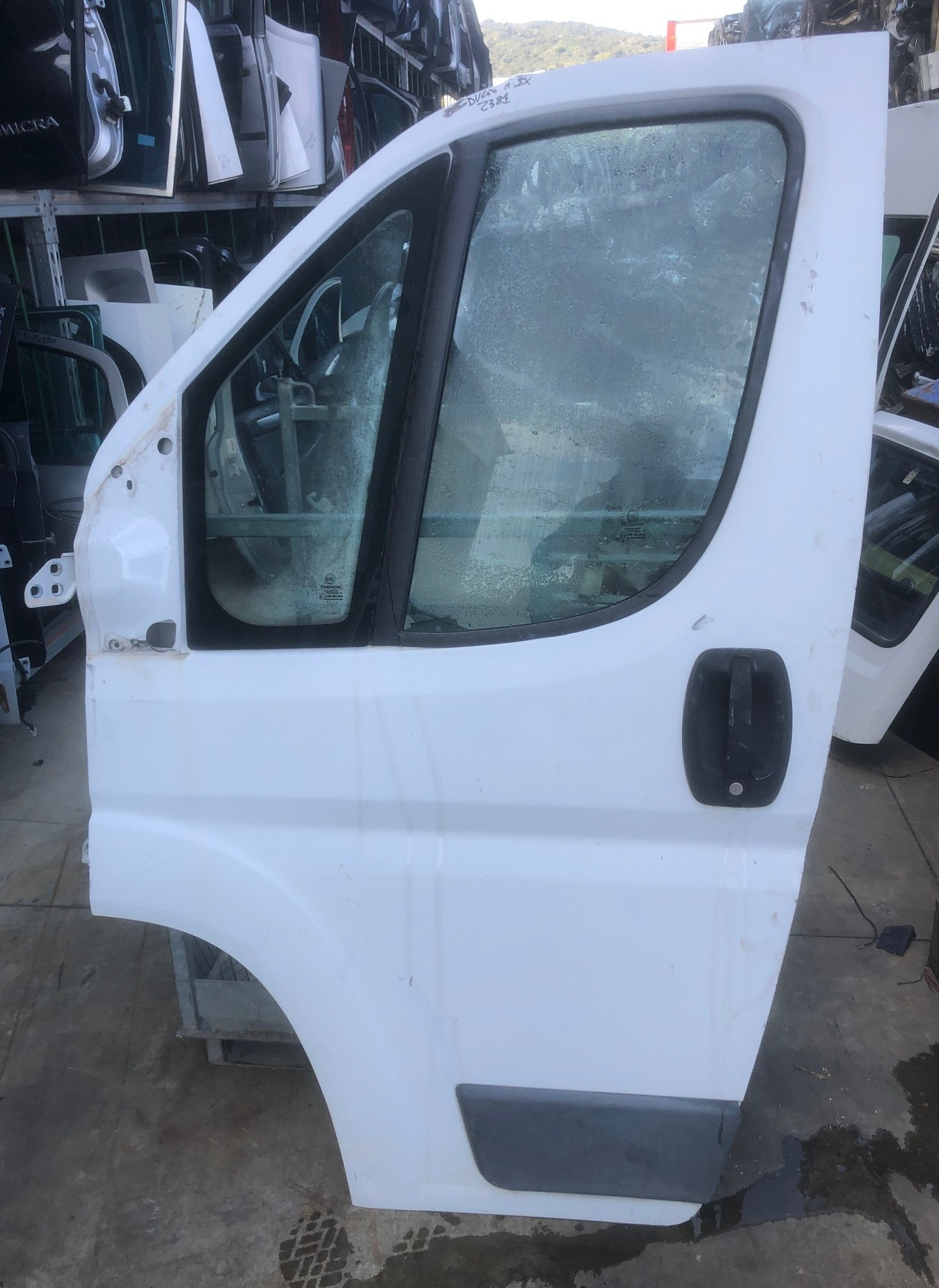 Porta Ant. Sinistro (Fiat) 1394066080 Usato
