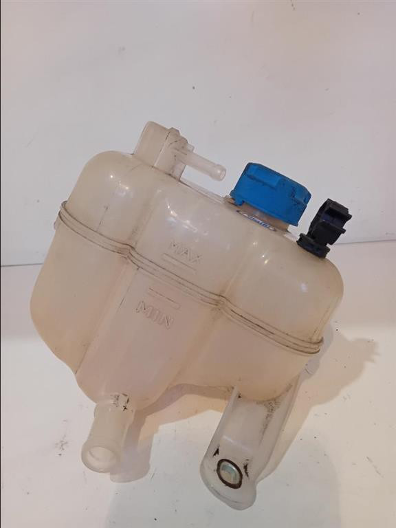 Vaschetta Compensazione Radiatore 51837896 Usato