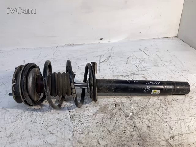Ammortizzatore Ant. Sinistro (Bmw) 31316750785 Usato