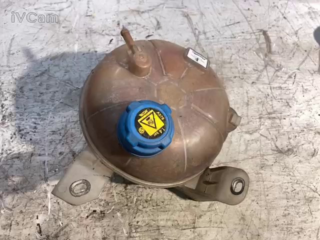 Vaschetta Compensazione Radiatore (Alfa Romeo) 50509770 Usato