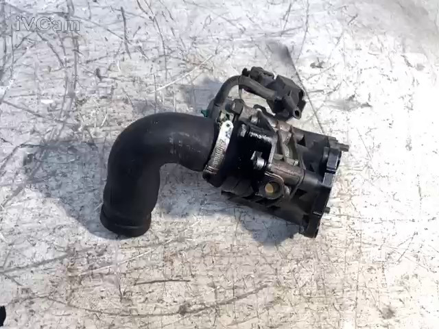 Attuatore Corpo Farfallato (Fiat) 55195014 Usato