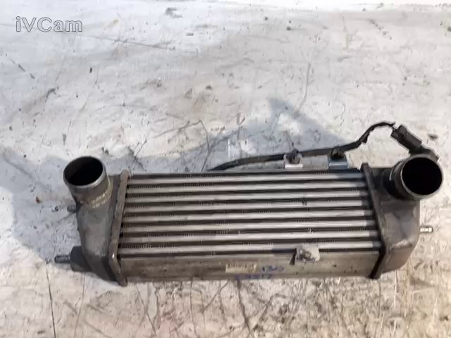 Intercooler (Hyundai) 282712A600 Usato