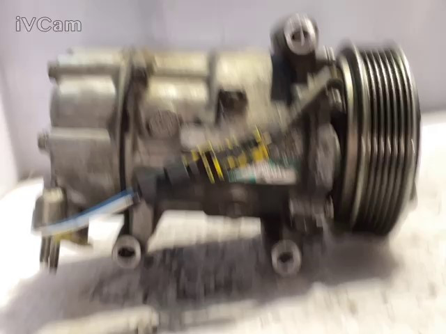 Compressore A/c (Citroen) SD6V12 1449F Usato