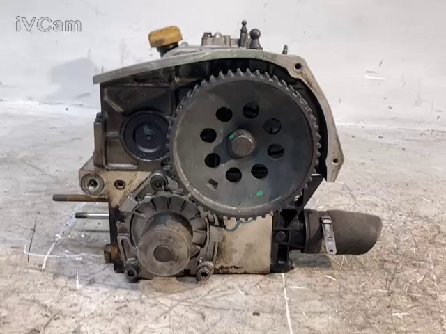Miniatura 11