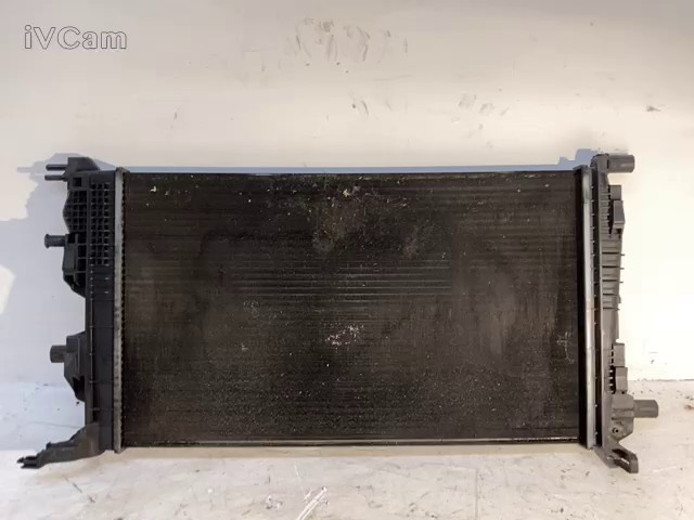 Radiatore Acqua (Renault) 214105150R Usato