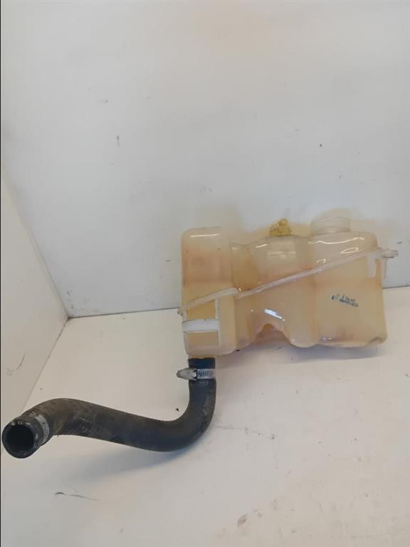 Vaschetta Compensazione Radiatore 51739651 Usato