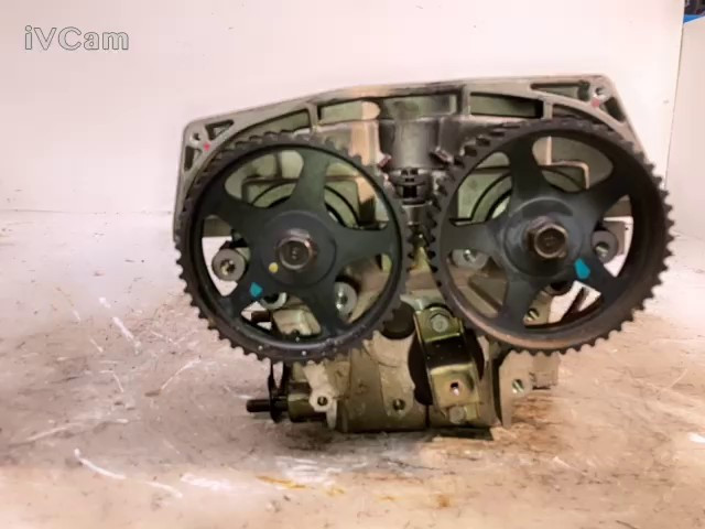 Miniatura 11