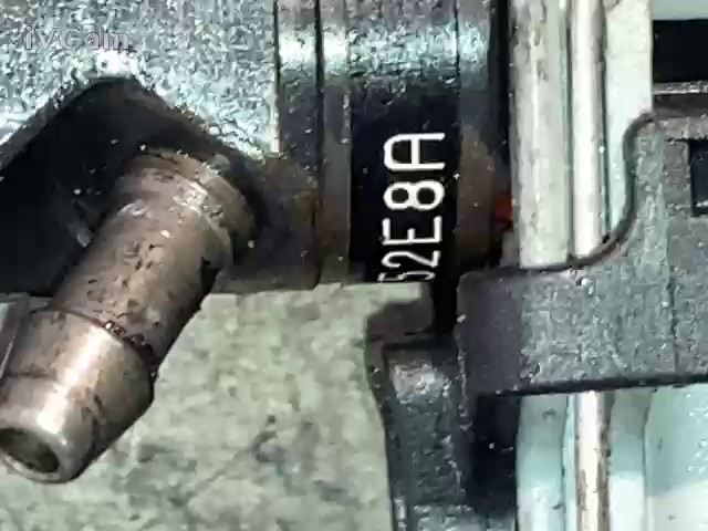 Miniatura 13