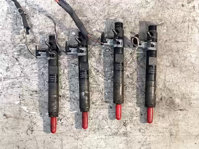 Miniatura 15