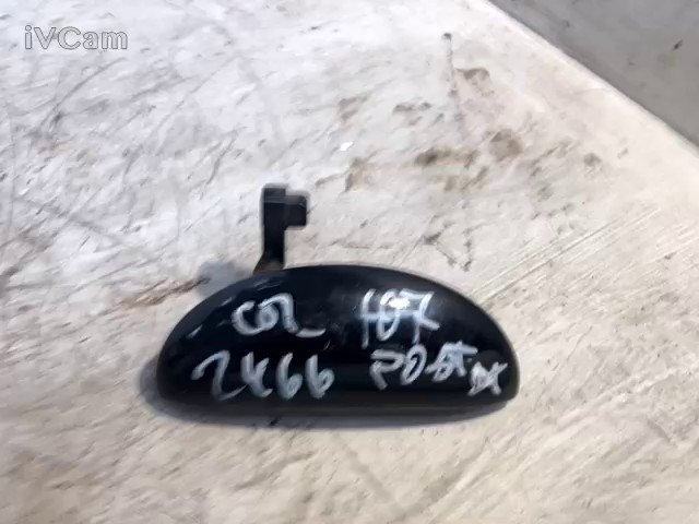 Maniglia Porta Post. Destro (Peugeot) 9101AN Usato