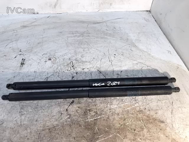 Asta Ammortizzante Portello Post. (Opel) 13247949 Usato