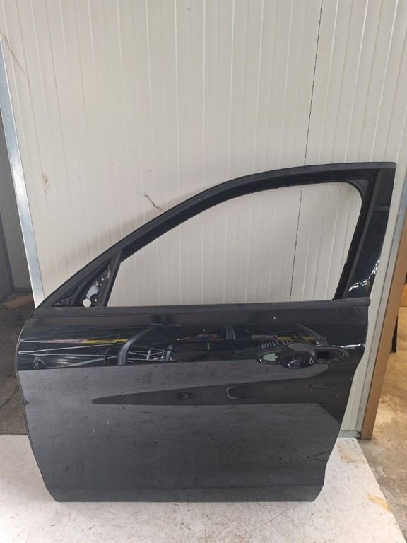 Porta Ant. Sinistro 50557007 Usato