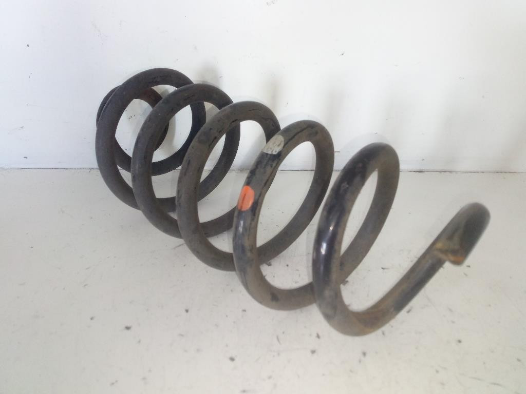 Molla Sosp. Post. Destro 550208515R Usato