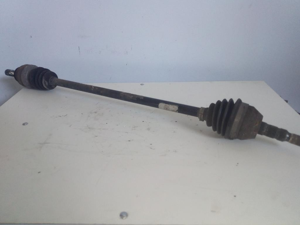 Semialbero Ant. Compl. Destro 24462241 Usato