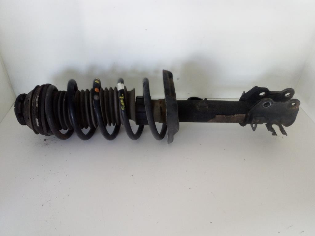 Ammortizzatore Ant. Sinistro 51890140 Usato