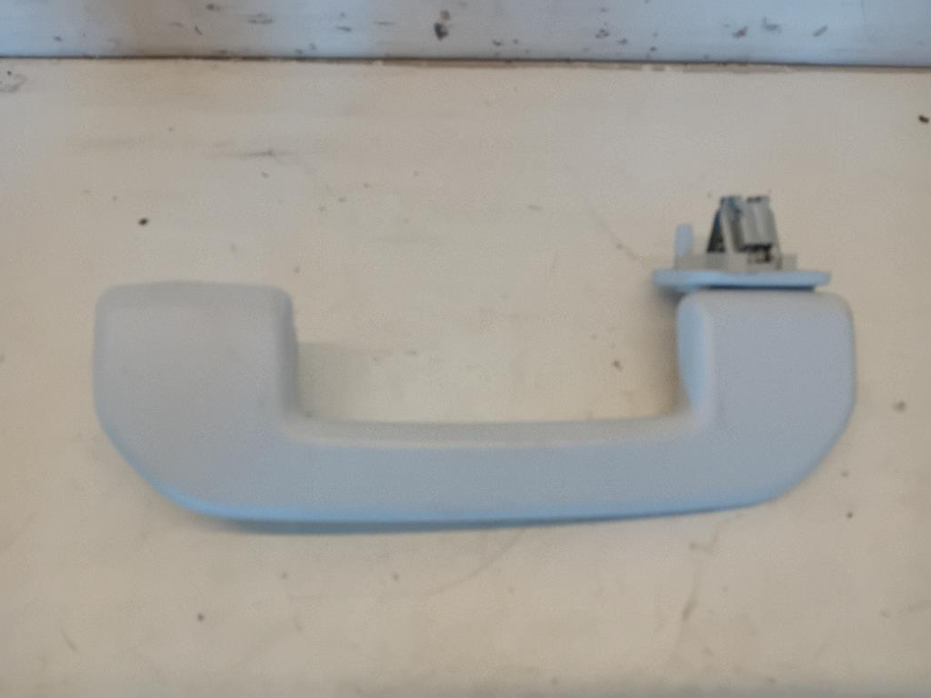 Maniglia Int. Tetto 98012429ZD Usato